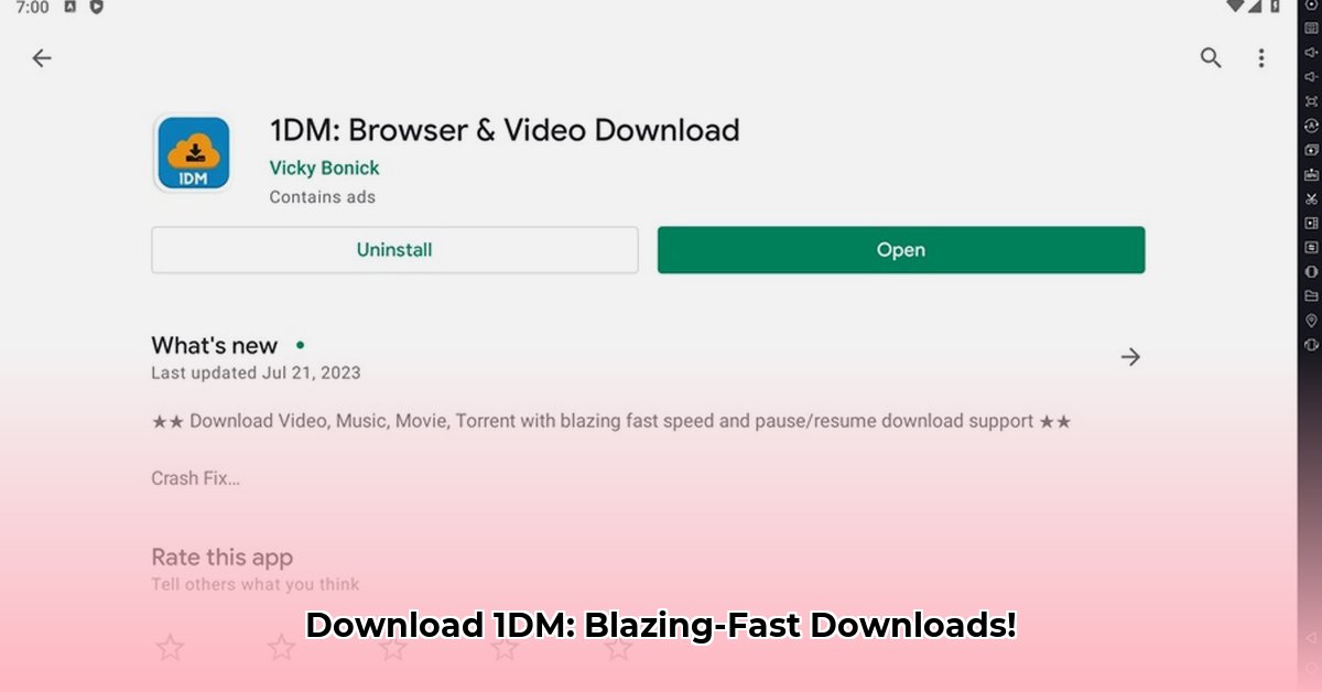1dm-browser-for-pc